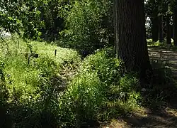 Kasteel Sinderen - slotgracht en Rentmeesterlaan