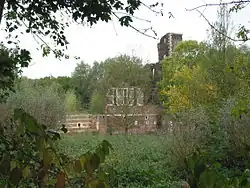 Ruïne Kasteel Schaesberg