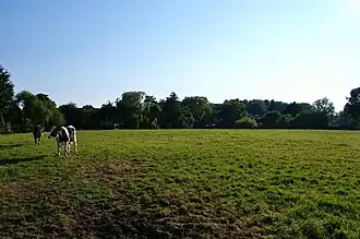 Kasteelterrein kasteel Middelburg