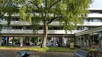 Toren Kastelenstraat-Boeckenburg-Giessenburg (oktober 2019) met Waterbuffels van Fioen Blaisse op voorgrond