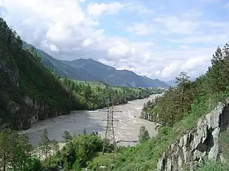 Katoen in het district Tsjemalski in het noorden van de deelrepubliek Altaj