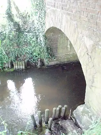 Kendel bij Hommersum