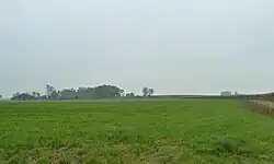 Wierde gezien vanaf de Aalsumerweg met links boerderijgebouwen