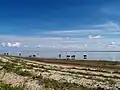 Het strand van Kesselaid. Het water is hier zo zoet dat het vee het kan drinken
