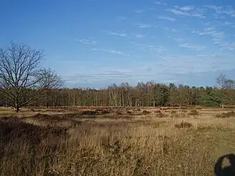 Kesselse Heide