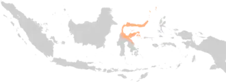 Bisdom Manado