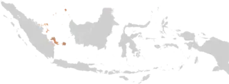 Bisdom Pangkalpinang