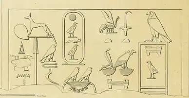 Tekening van een inscriptie uit Wadi Maghara
