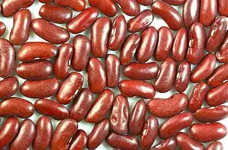 Kidney beans - Gewone boon