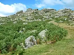 Kilmar Tor