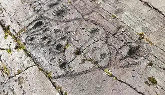 Kilmichael Glassary Cup And Ring Marks