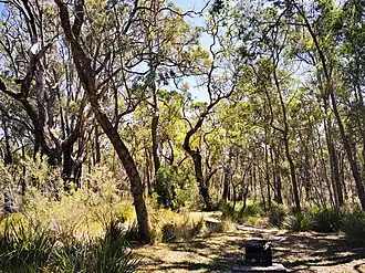 Nationaal park Kings Plains