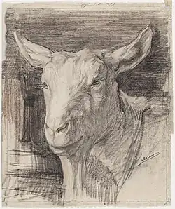 Kop van een geit (1915), collectie Stadsarchief Amsterdam. De tekening is onderdeel van een album dat aan Artis-directeur Coenraad Kerbert werd aangeboden bij zijn zilveren jubileum.