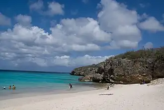 De Kleine Knip, februari 2010