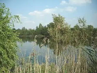 Een van de vijvers in het domein De Roomakker.