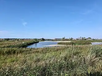 Kleiputten van Wenduine