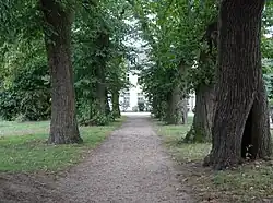 Laan bij het kasteeltje