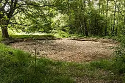 Kluundel in het Aamsveen