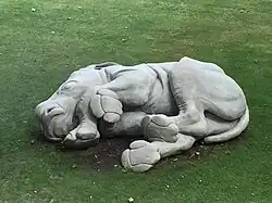 Ortus (Miriam Knibbeler)