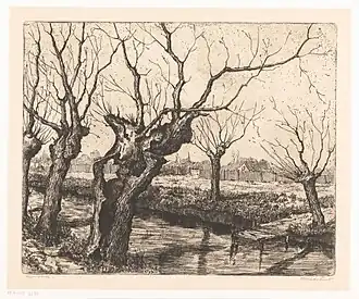 Knotwilgen bij een sloot