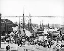 Haven in Bergen, ca. 1880