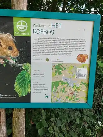 Koebos