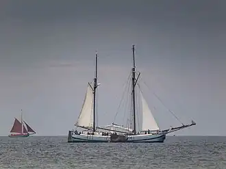 Koftjalk "Neerlandia"