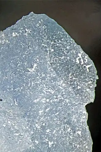 Kogarkoiet gevonden te Mont Saint-Hilaire, Quebec, Canada