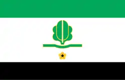 Vlag van de gemeente Kohila