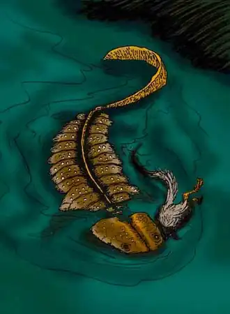 Koolasuchus