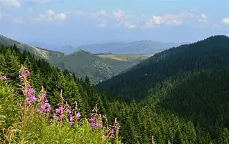Nationaal park Kopaonik
