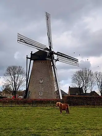 De korenmolen van Hapert in 2021