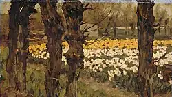 Bloembollenvelden tussen de bomen