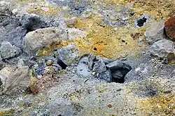 Gheothermofiele vegetatie met uitsluitend een algenlaag.