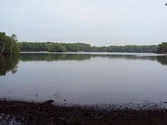 De Kraenepoel in mei 2010