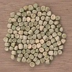 Gekreuktzadige erwten 'Kelvedon Wonder'