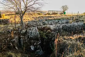 Omgeving Kromdraai, deel uitmakend van de Wieg van de mensheid