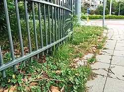 De kruipertje-associatie bij een trottoir