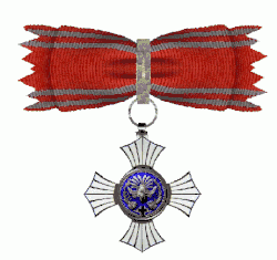 Japans Kruis aan dameslint