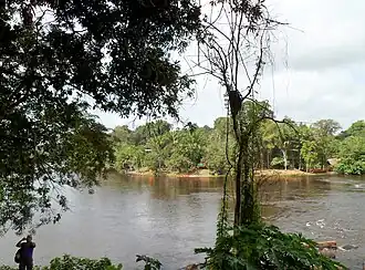 Blik op het riviereiland