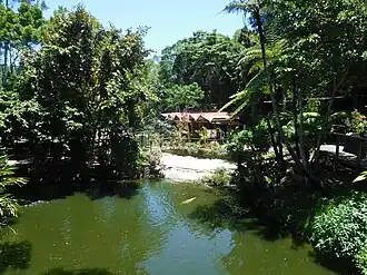 Kuranda Koala Gardens