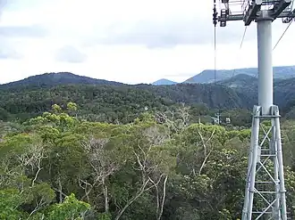 Een kijkje vanaf de Kuranda Skyrail.
