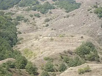 Overzicht Kusanats Anapat