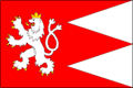 Vlag
