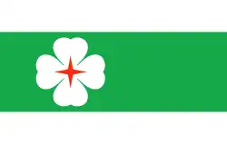 Vlag van de gemeente Lääne-Nigula