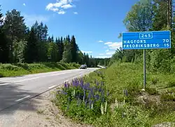 De weg in Ulriksberg