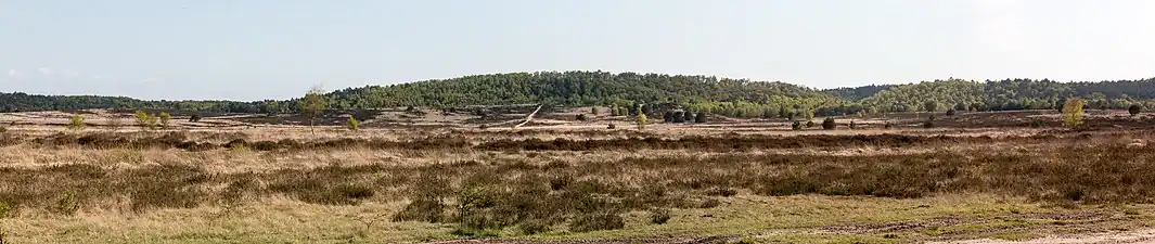 Naturschutzgebiet Borkenberge