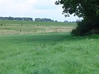 Keent, de oude bedding van de Maas