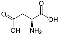 Structuurformule van L-asparaginezuur