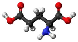 Molecuulmodel van L-glutaminezuur